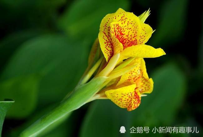 BBIN体育真人-海中金命最旺的数字